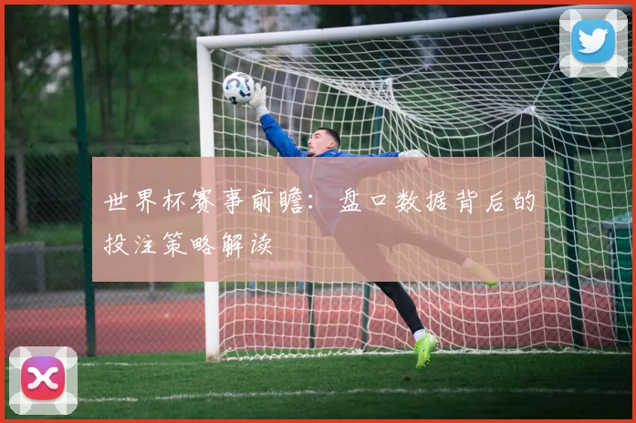 世界杯赛事前瞻：盘口数据背后的投注策略解读