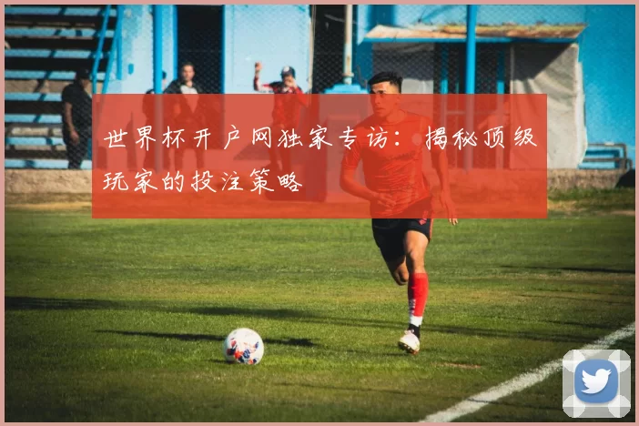 世界杯开户网独家专访：揭秘顶级玩家的投注策略
