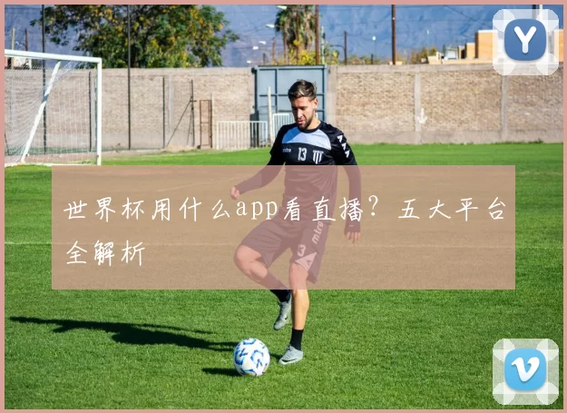 世界杯用什么app看直播?五大平台全解析