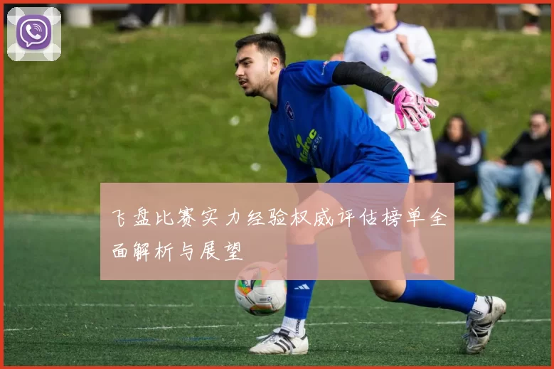 飞盘比赛实力经验权威评估榜单全面解析与展望