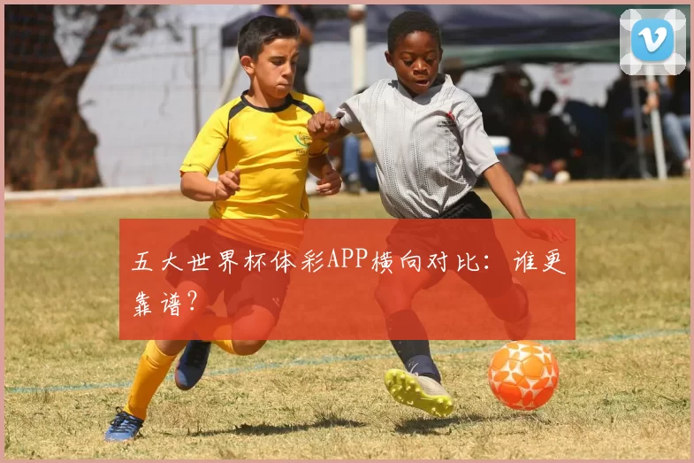 五大世界杯体彩APP横向对比:谁更靠谱?