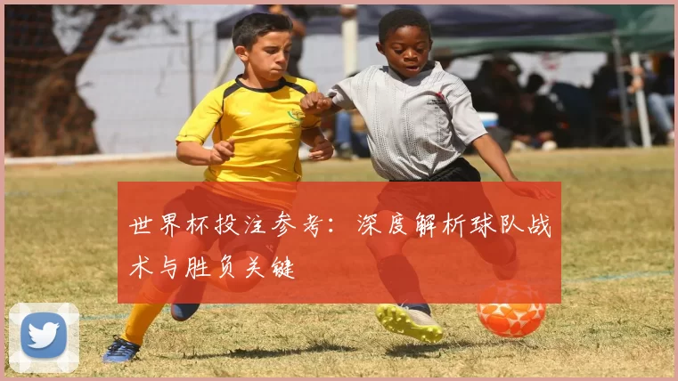 世界杯投注参考：深度解析球队战术与胜负关键