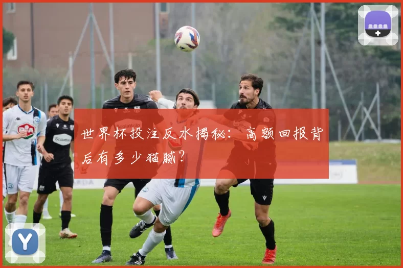 世界杯投注反水揭秘：高额回报背后有多少猫腻？