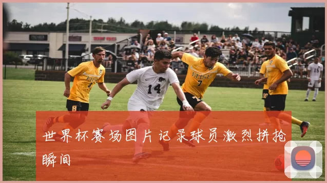 世界杯赛场图片记录球员激烈拼抢瞬间