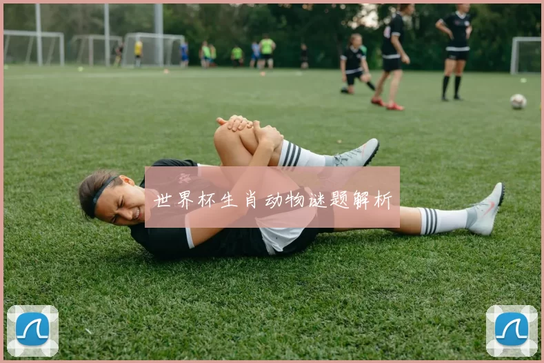 世界杯生肖动物谜题解析