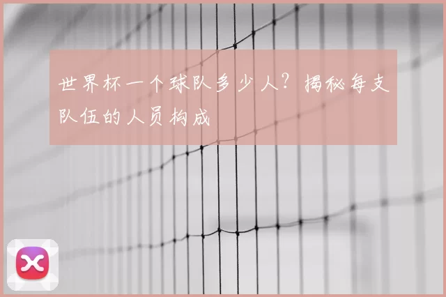 世界杯一个球队多少人？揭秘每支队伍的人员构成