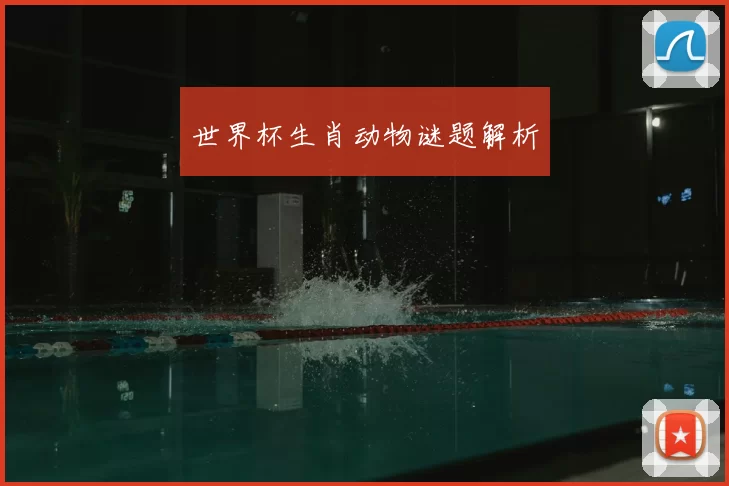 世界杯生肖动物谜题解析