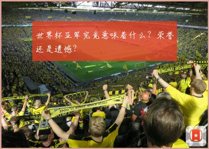 世界杯亚军究竟意味着什么？荣誉还是遗憾？