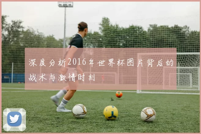 深度分析2016年世界杯图片背后的战术与激情时刻