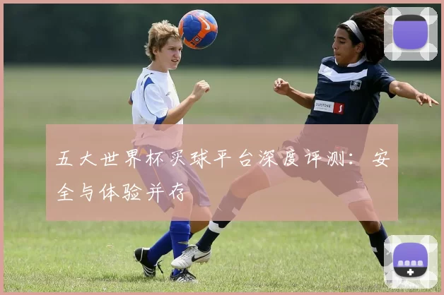 五大世界杯买球平台深度评测:安全与体验并存