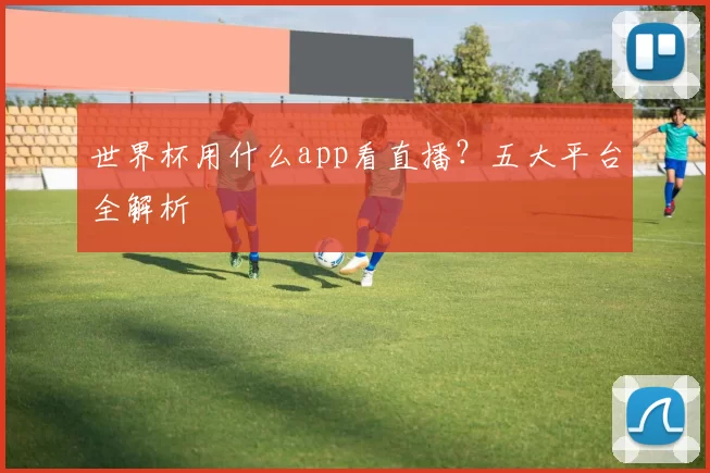 世界杯用什么app看直播?五大平台全解析