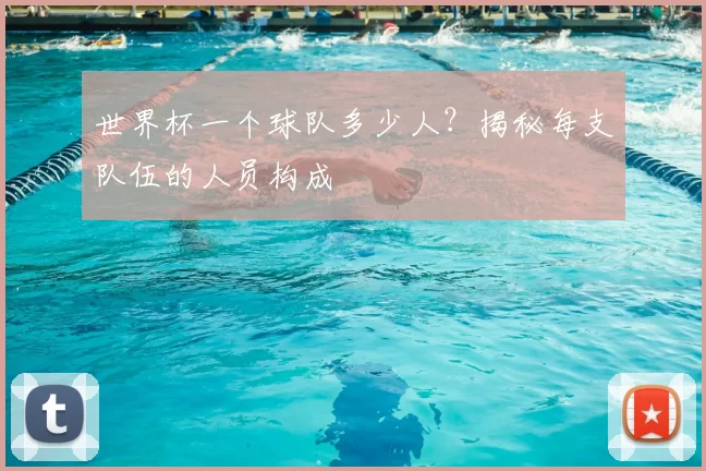 世界杯一个球队多少人?揭秘每支队伍的人员构成