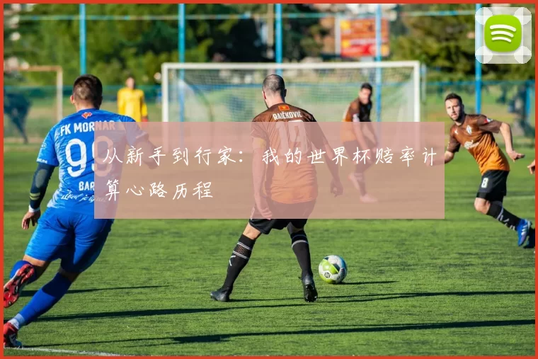 从新手到行家:我的世界杯赔率计算心路历程