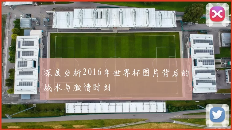 深度分析2016年世界杯图片背后的战术与激情时刻